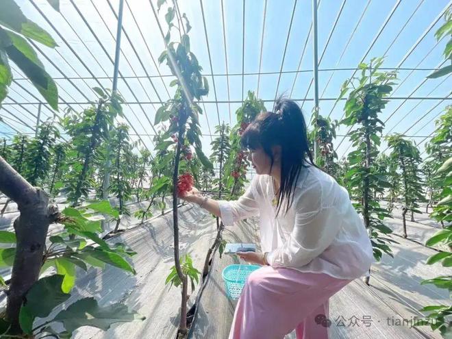 假日就来这！天津这里宝藏农场+1(图2)