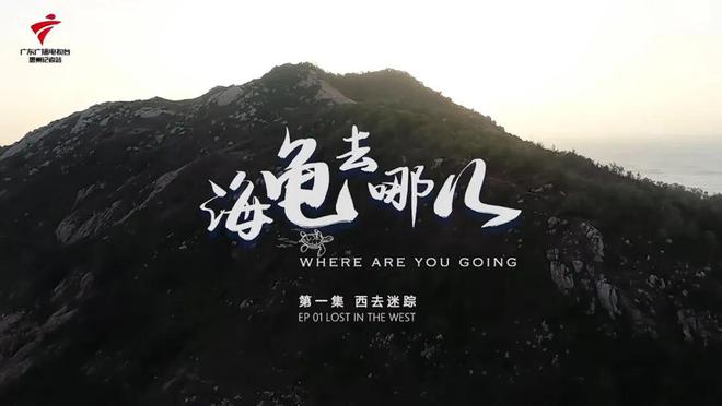 招募·马来西亚｜海龟夜巡×国际证书这个夏天到被政府封闭20年的神秘小岛做志愿者！(图18)