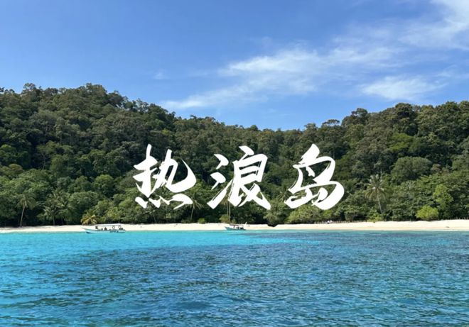 招募·马来西亚｜海龟夜巡×国际证书这个夏天到被政府封闭20年的神秘小岛做志愿者！(图35)