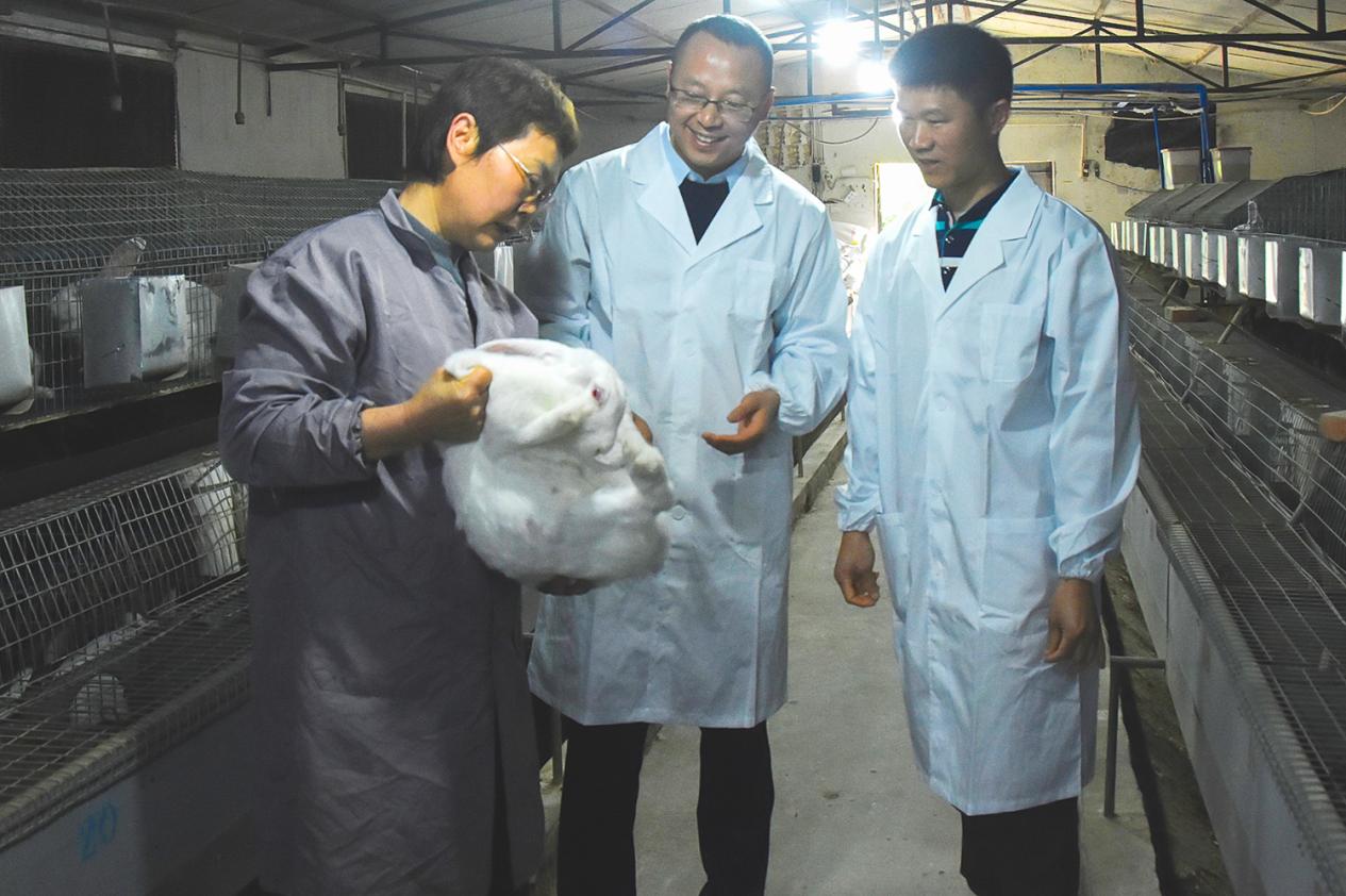 自贡市荣县肉兔产业“兔”飞猛进现代化养殖开启新篇(图3)