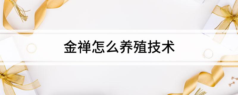 金禅怎么养殖技术(图1)