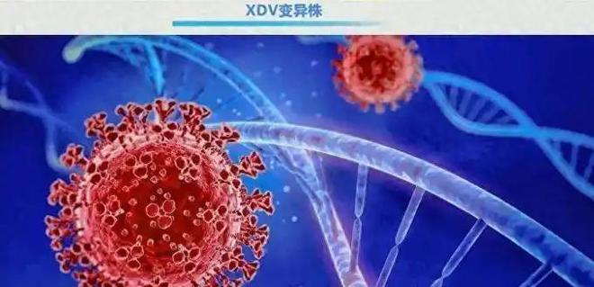 一周内死亡31人！香港出现新冠最新病毒变异株陈奕迅已经确诊(图7)