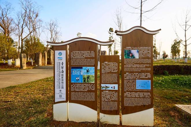 云南保山青华海湿地公园水色天光共徘徊这里是哀牢文化发源地(图1)