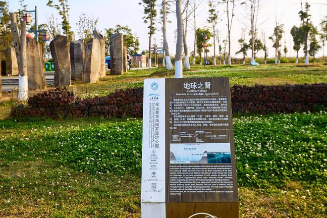云南保山青华海湿地公园水色天光共徘徊这里是哀牢文化发源地(图8)