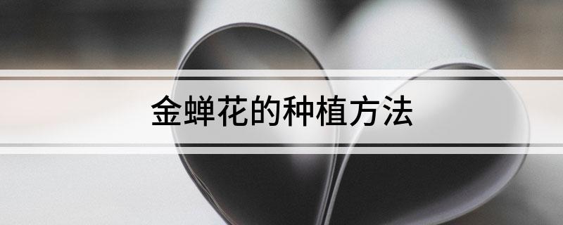 金蝉花的种植方法(图1)