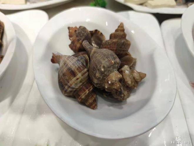 越贵越好卖！虾爬子鲅鱼海螺为啥这么贵？鱼贩：跟休渔期关系不大(图4)