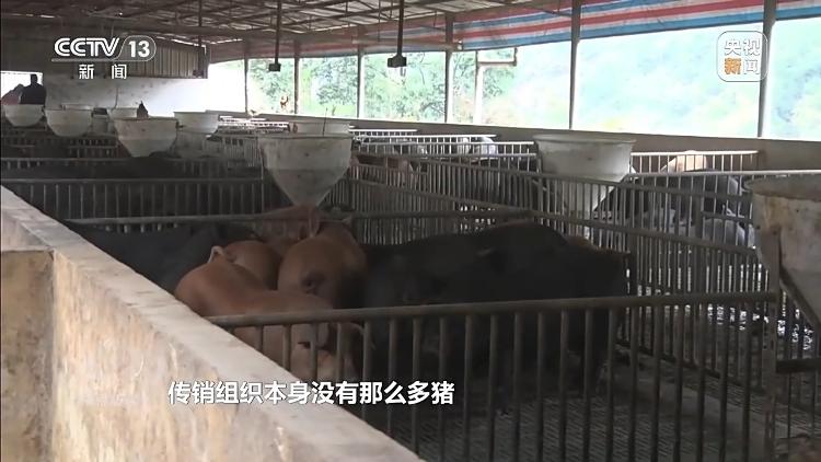 已有数万人被骗起底“云养殖”里的骗局(图5)