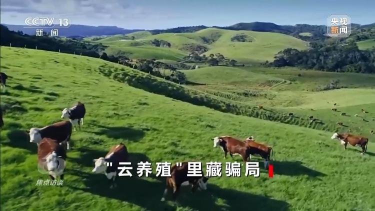已有数万人被骗起底“云养殖”里的骗局(图6)