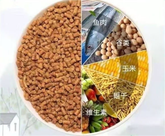 萌比乐鸟饲料在哪有得买(图1)