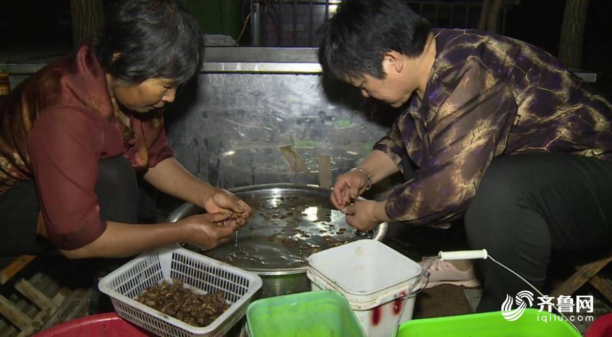 日照莒县：小小金蝉成为农民致富“金疙瘩”(图2)