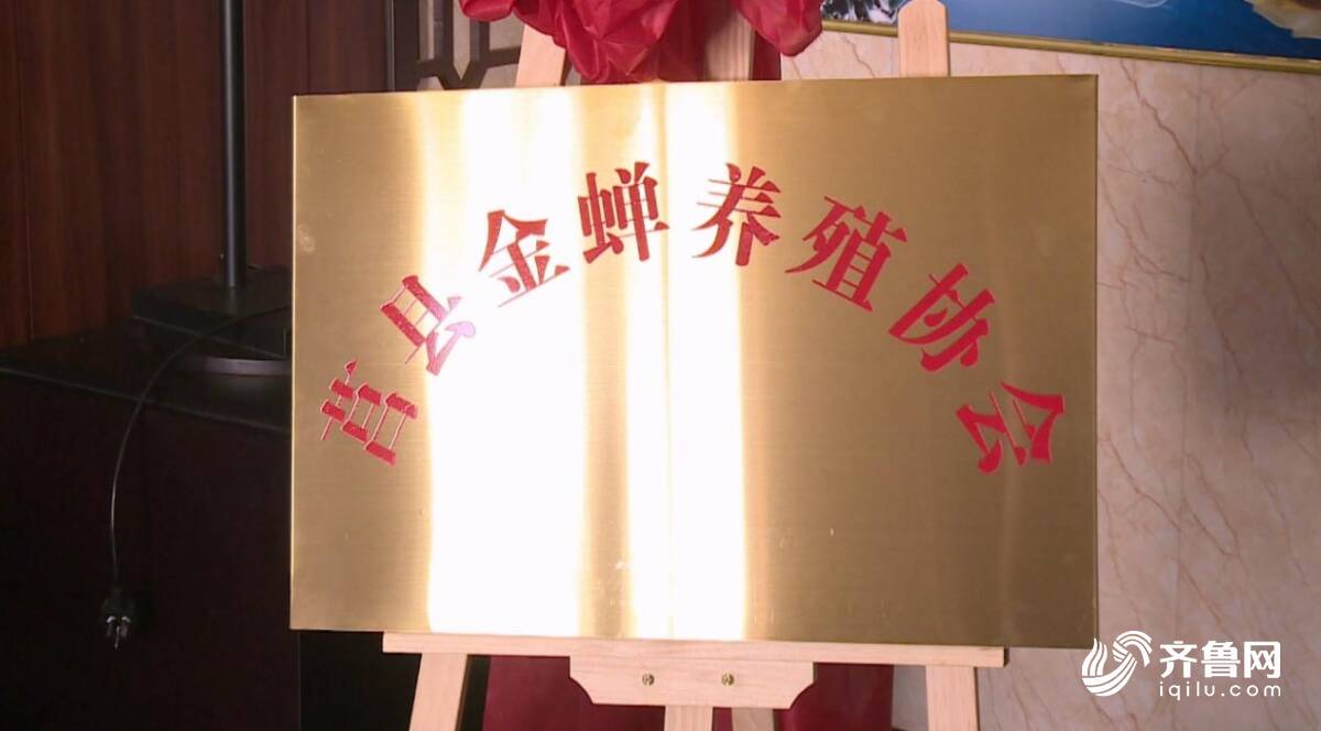 日照莒县：小小金蝉成为农民致富“金疙瘩”(图4)