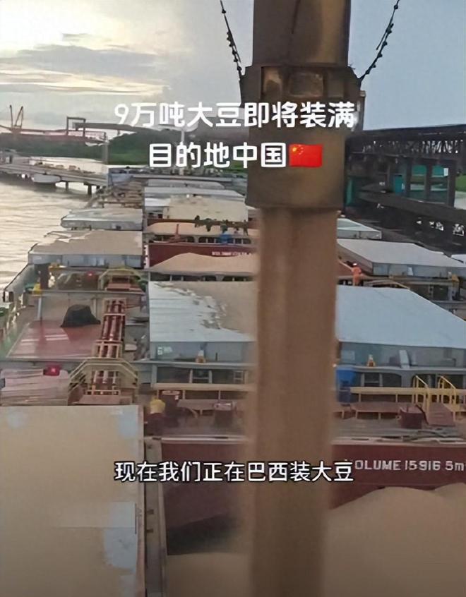 美国农民绝望大哭巴西农业部长亲自喊话中国得到中国网友神回复(图1)