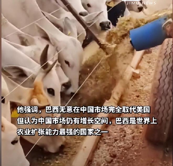 美国农民绝望大哭巴西农业部长亲自喊话中国得到中国网友神回复(图9)