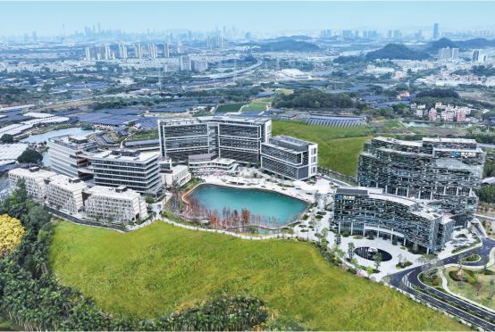 海大集团剑指5150万吨：中国饲料龙头如何布局全球饲料产业版图？(图1)