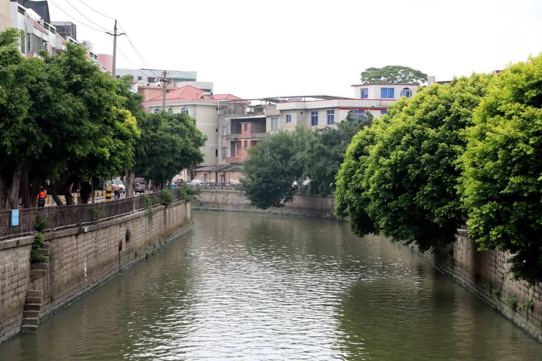 鲤城区政府主要领导带队调研古城水系并开展巡河工作(图2)
