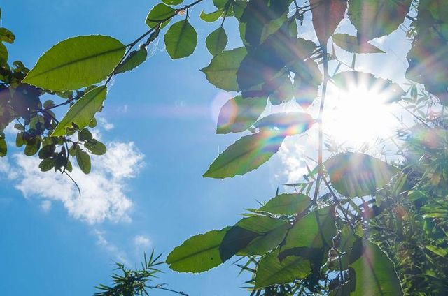 今日立夏下雨好还是晴天好？老话“最怕立夏一日晴”为什么？(图6)
