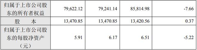 皖仪科技修正2024年度业绩快报：归母净利润减381万元(图2)