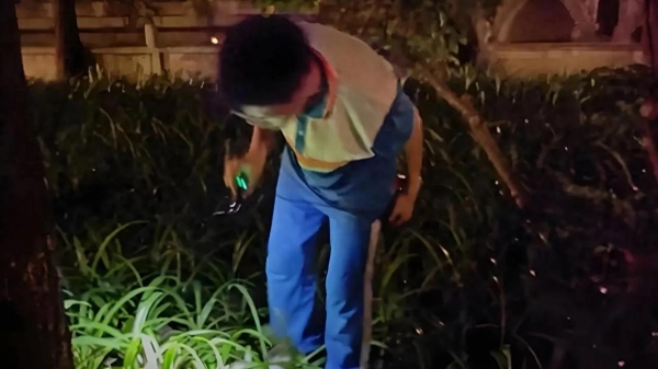 女生用国外知了猴泛滥钓爸爸没想到爸爸大半夜就要去抓(图1)