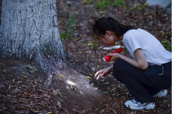 女生用国外知了猴泛滥钓爸爸没想到爸爸大半夜就要去抓(图3)