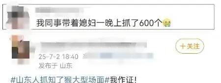 445元一斤！有人一晚抓700只在北方随处可见！一晚能赚上万(图7)