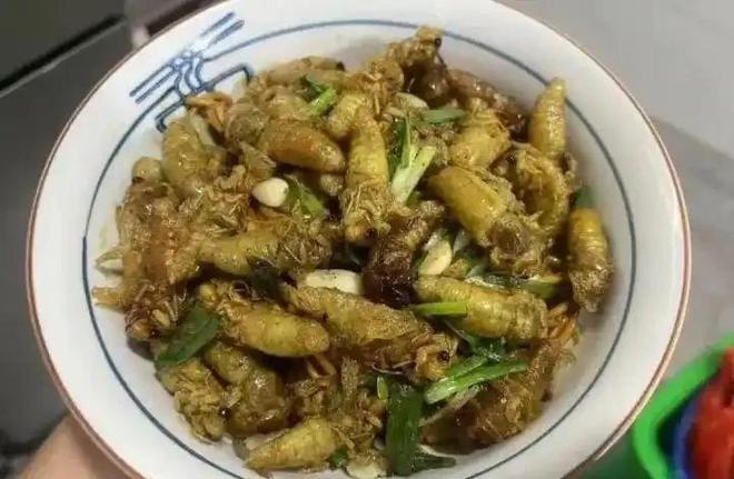 445元一斤！有人一晚抓700只在北方随处可见！一晚能赚上万(图5)