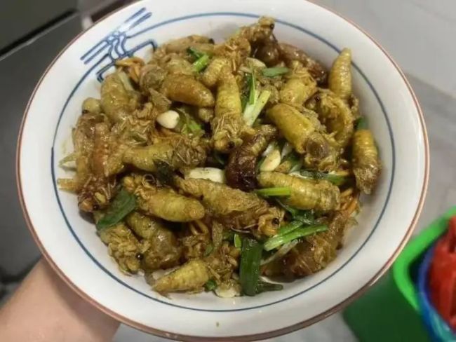 上海人夜晚出动抓“知了猴”美味诱惑难挡(图3)