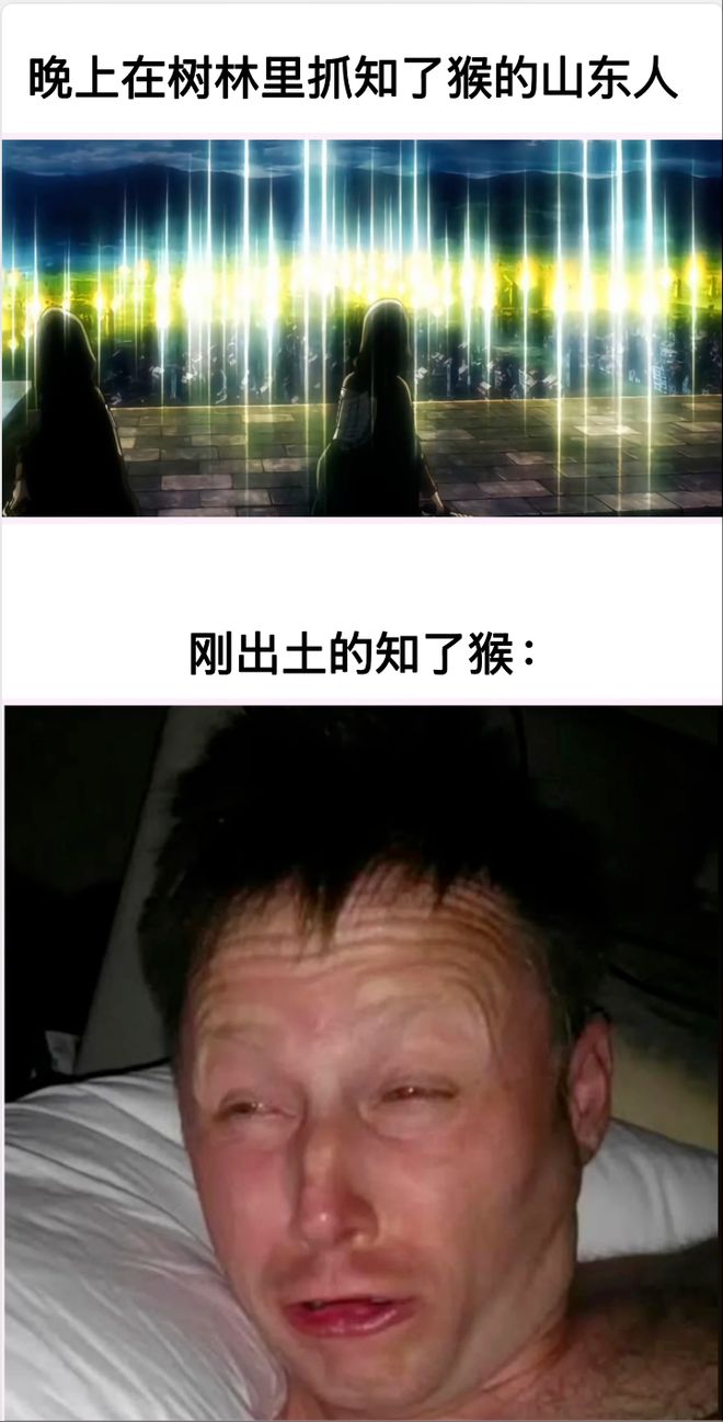 “知了猴”全网通缉！(图3)