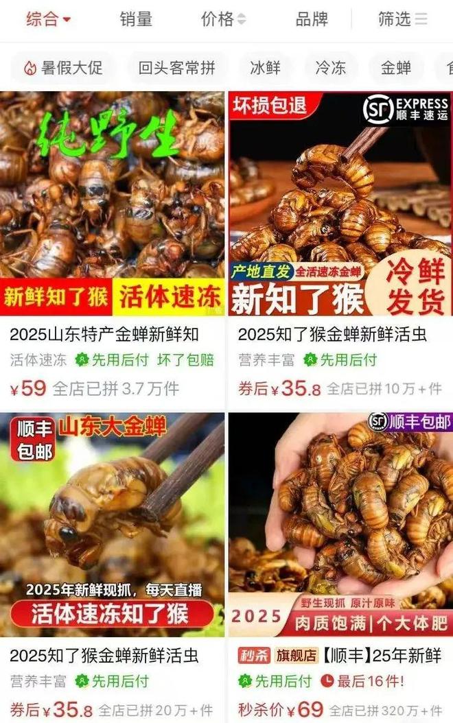 “知了猴”全网通缉！(图4)