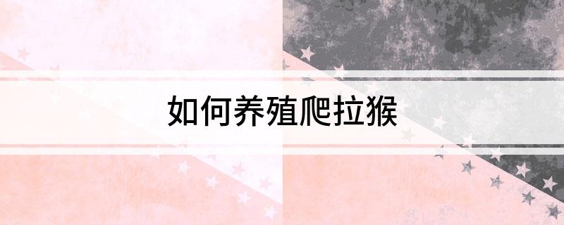 如何养殖爬拉猴(图1)