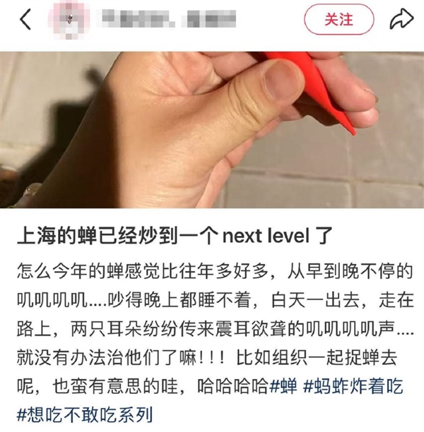 上海市民崩溃：今年的蝉为啥这么多！专家称是蝉“大年”(图1)