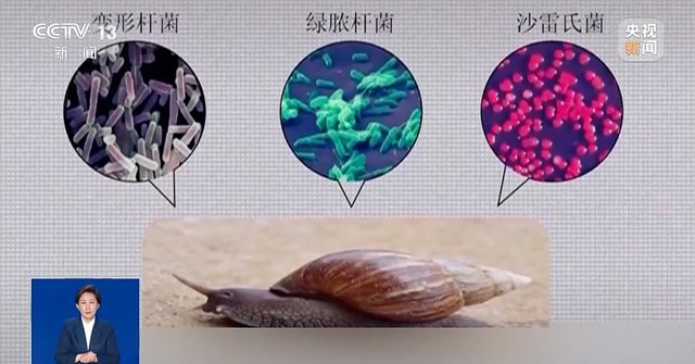 34℃！厦门蒸桑拿模式开始暖湿气流+冷空气下一轮雨水就在→(图3)