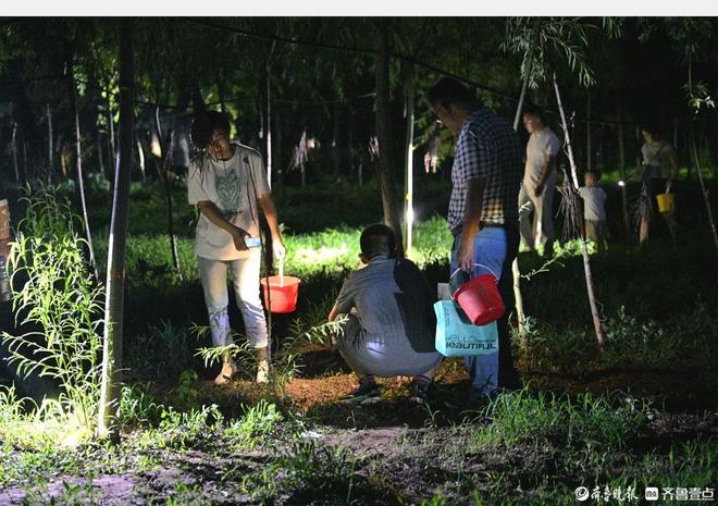 拾光日照汉子异乡创业蛰伏三年一“鸣”惊人(图4)