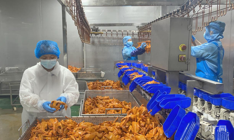 高质量发展看中国｜解码“兴宁鸽”④规模养殖筑基全链协同发力铸就产业“脊梁”(图3)
