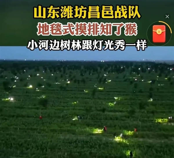 上海闹“蝉灾”！给山东人急得团团转(图2)
