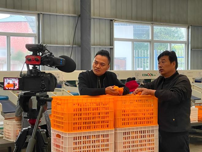 2022年四川一男子靠种植血橙发家致富年销售额高达3000多万(图1)