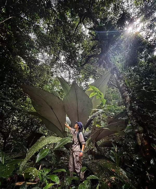 新物种!专家在福建虎伯寮发现成功“羽化”的并录到真实声音(图1)
