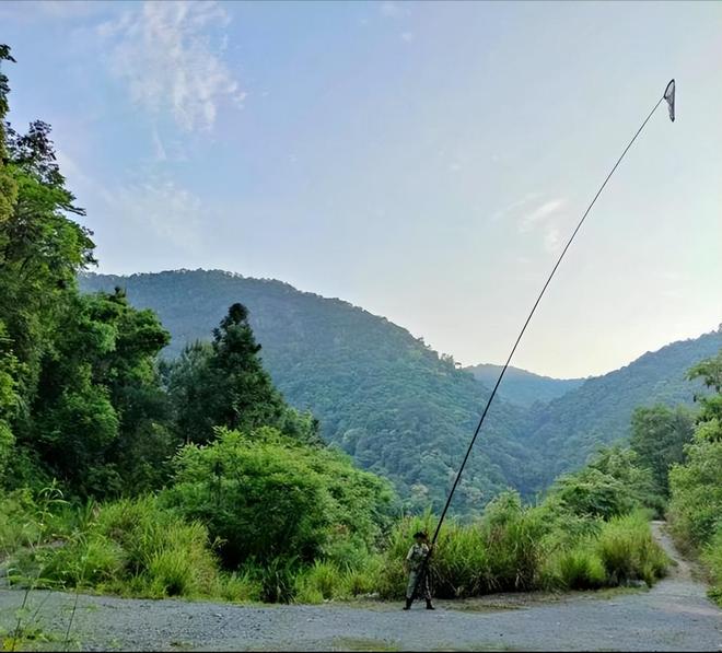 新物种!专家在福建虎伯寮发现成功“羽化”的并录到真实声音(图6)