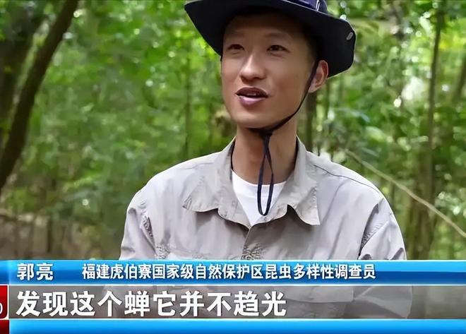 新物种!专家在福建虎伯寮发现成功“羽化”的并录到真实声音(图14)