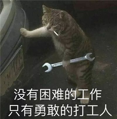 男子发现树上有一个奇怪的大包他好奇地挖开了它然后在场所有人惊呆了(图5)