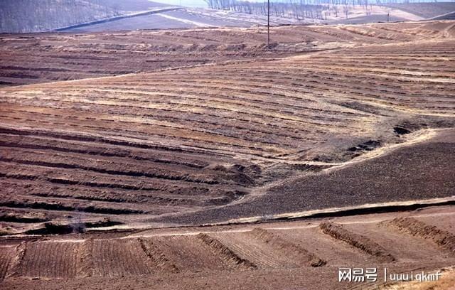 陕西五月旱情吃紧！冬小麦灌浆告急农民盼雨心焦如焚(图1)