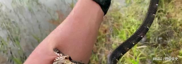 三亚蛇咬死人后续家属曝全过程俩医院恐担责女孩身份不一般(图5)