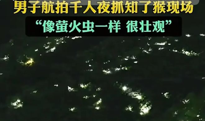 速速支援！让上海人崩溃的“知了猴”馋疯了多少山东人(图4)