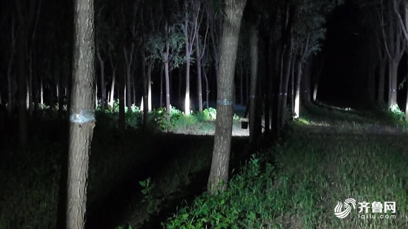 德州:林下金蝉养殖+暑期研学多元模式奏响“富民曲”(图2)