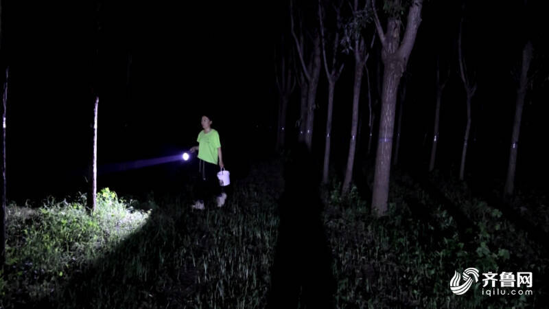 德州:林下金蝉养殖+暑期研学多元模式奏响“富民曲”(图5)