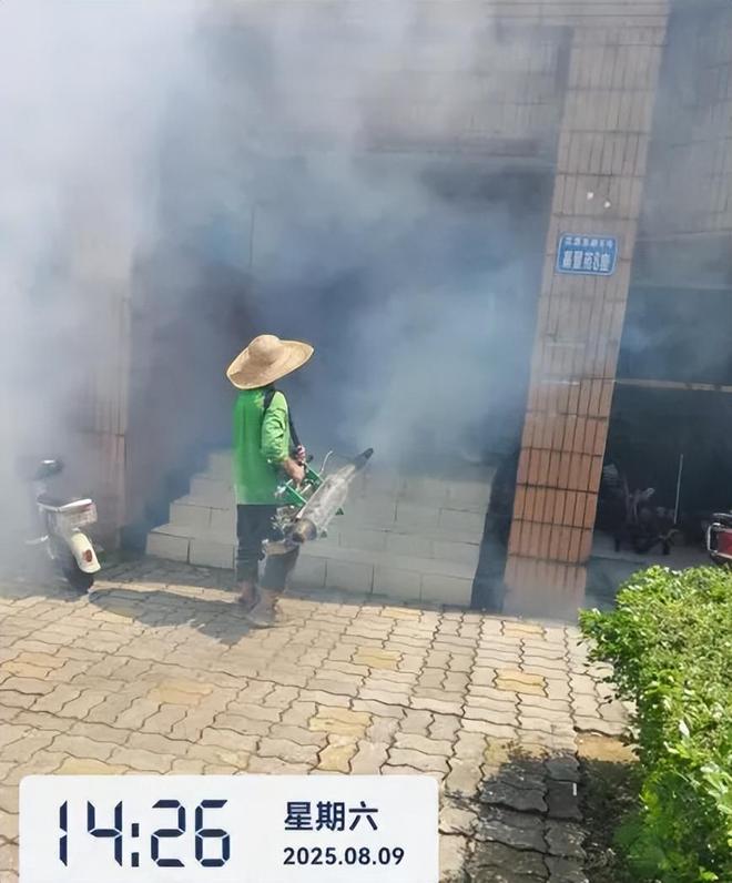 河南被归类为防控Ⅱ类地区佛山、广州的蚊子真的飞到河南了?(图4)