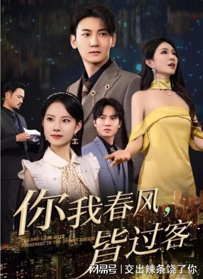 精彩全剧《你我春风皆过客》合集后续全剧合集完整版(图2)