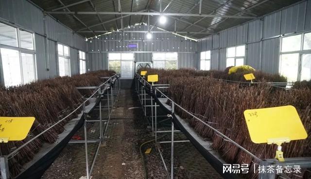 未来三天暴雨袭华北！这些农事关键期防护别耽搁(图2)