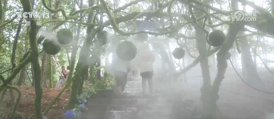 “花式”消暑新场景催热文旅“清凉消费”夏日经济活力释放(图6)