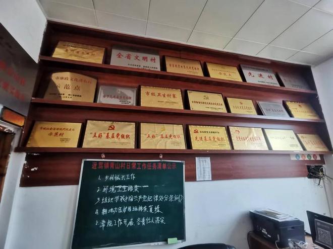 贵州松桃:蛋鸡铺出“金”路子(图4)