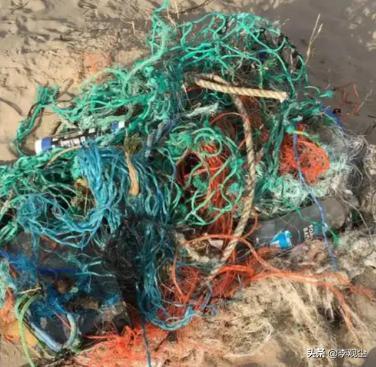 我国近海养殖区污染有多严重?形势很严峻很多人却不知道(图10)